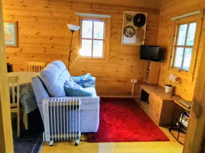 a living room with a blue couch and a red rug at Trevenna Cabin in St Austell