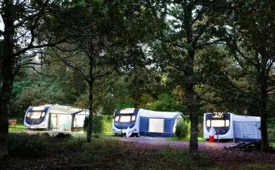 three rvs parked in a park with trees at Pinetum Gardens Retreats in St Austell