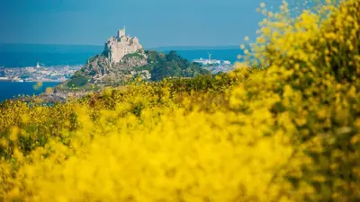 a castle on top of a hill with yellow flowers at Nori's Nest, Croft Hooper - Hot Tub - Free WiFi & Parking - Fire Pit in Ludgvan