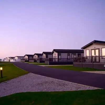 Rose View