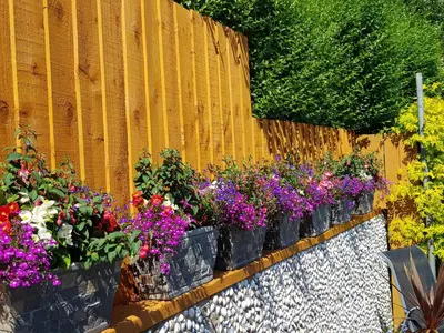 a bunch of flowers in pots on a fence at Eden's Rest Bed and Breakfast in St Austell