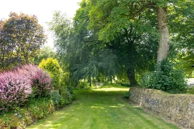 a garden with a tree and a stone wall at Ta Mill Cottages & Lodges - Millers Cottage in Launceston