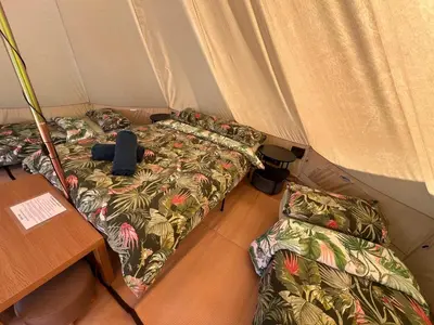 a small room with a bed and a table at The Laurels Holiday Park & Cottages nr Padstow and Wadebridge in Wadebridge