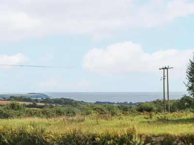 a field of grass with a telephone pole at Sebright in St Austell