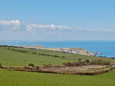 a herd of sheep grazing in a field with the ocean at Hindscarth Apartment - Uk39610 in Davidstow