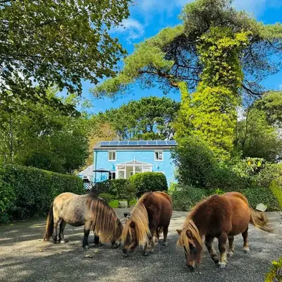 Bay View Cottage