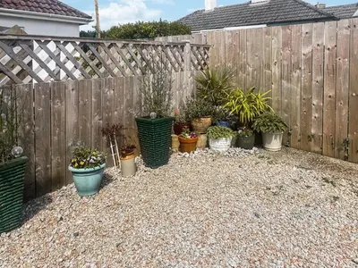 a bunch of potted plants in front of a fence at Chi Lowen in Camborne