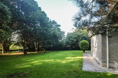 a green yard with trees and a wall at Yngywidden in Penzance