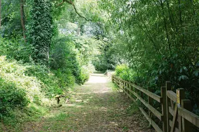 a path through a forest with a fence at Trewhiddle Retreat V27 by Together Travel - Luxury 3-Bedroom Villa in St Austell