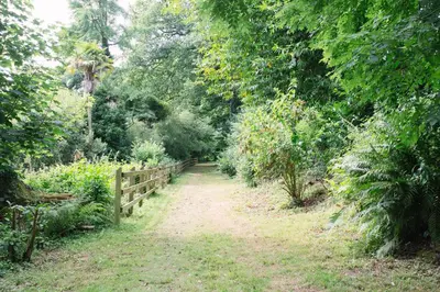 a dirt road with a fence in a forest at Trewhiddle Retreat V27 by Together Travel - Luxury 3-Bedroom Villa in St Austell