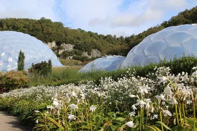 two domes in a garden with white flowers at Trewhiddle Retreat V27 by Together Travel - Luxury 3-Bedroom Villa in St Austell
