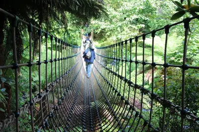 a person walking across a suspension bridge in a forest at Trewhiddle Retreat V18 by Together Travel - Luxury 4-Bedroom Villa in St Austell
