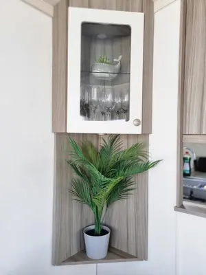 a plant on a shelf in a kitchen at Seven Sunsets, Padstow in Padstow