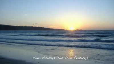 a bird flying over the ocean at sunset at F18 Branksea, Riviere Towans in Hayle