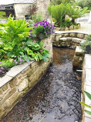 a pond in a garden with flowers and plants at Pleasant streams Barn in St Austell