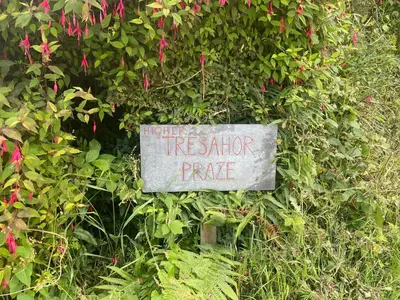 a sign that reads hotter treeographer prime in a bush at The Quarry Caravan in Falmouth