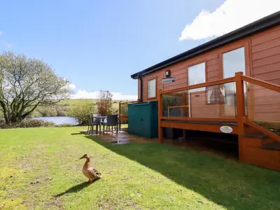 a duck walking in the grass in front of a house at Lake View 10 in Par